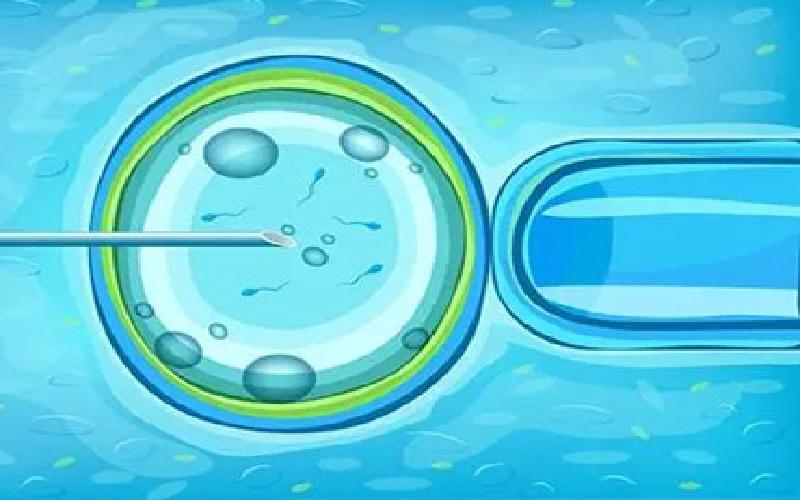 试管必备冷藏液体代生